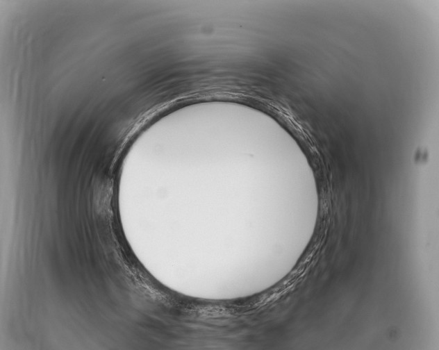 X0000090720146200707201021