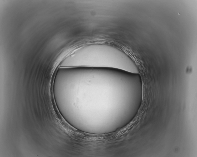 X0000090720147200707201021