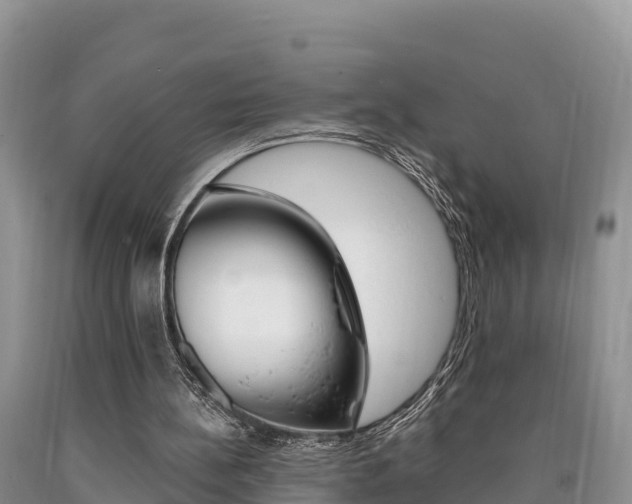 X0000090720148200707201021