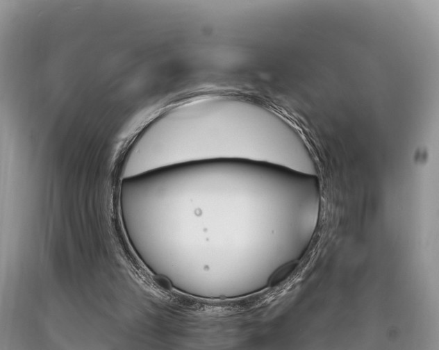 X0000090720149200707201021