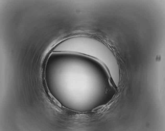 X0000090720150200707201021
