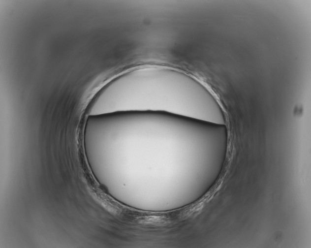 X0000090720151200707201021