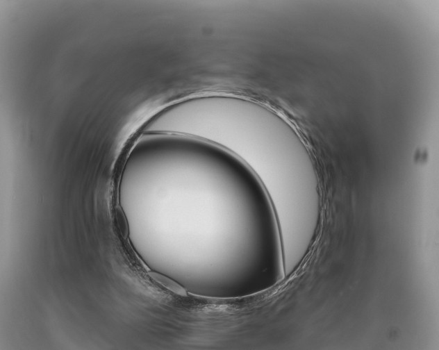 X0000090720152200707201021
