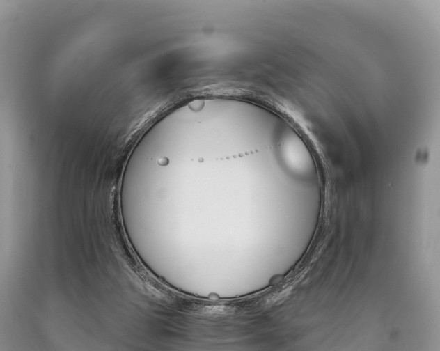 X0000090720153200707201021