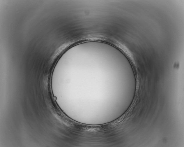 X0000090720155200707201021