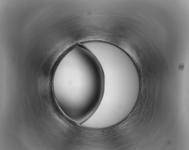 X0000090720156200707201021