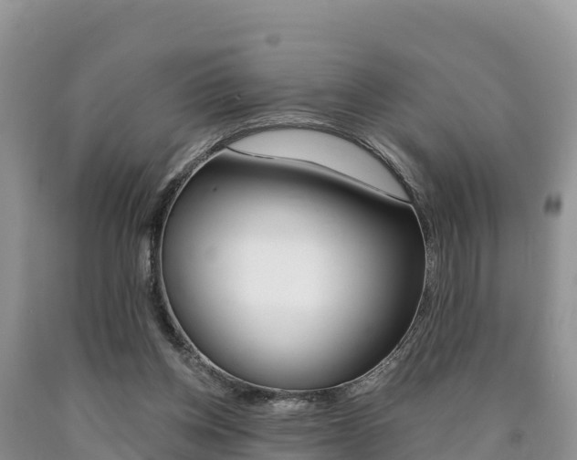 X0000090720158200707201021