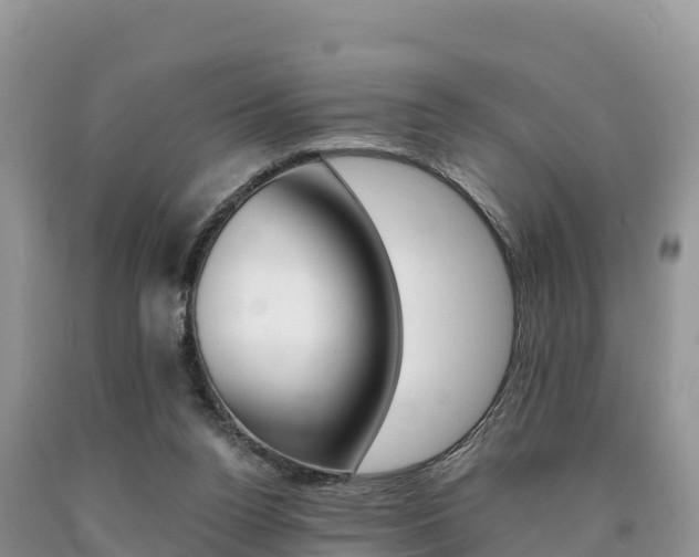 X0000090720160200707201021