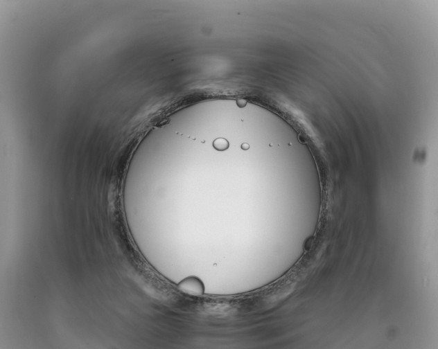 X0000090720161200707201021
