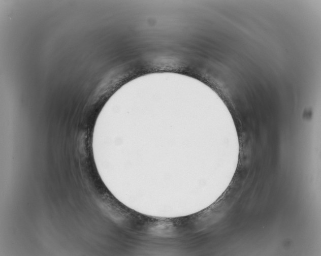 X0000090720162200707201021