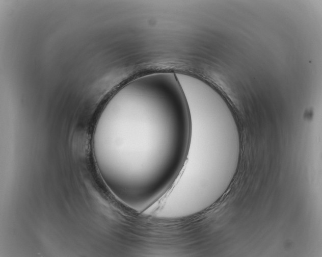 X0000090720164200707201021