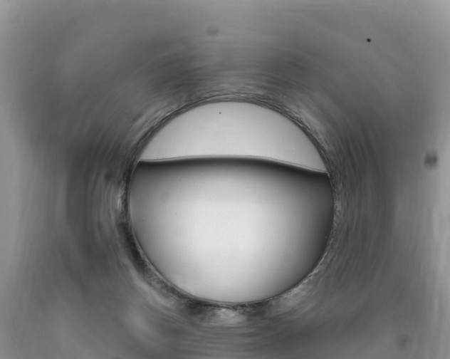 X0000090720166200707201021