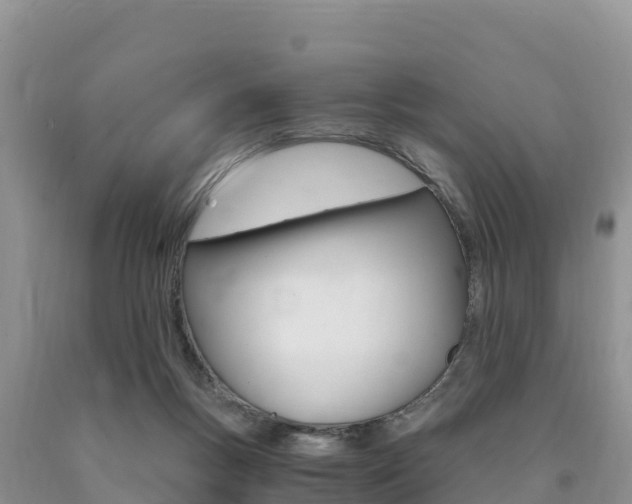 X0000090720167200707201021