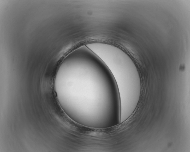 X0000090720168200707201021