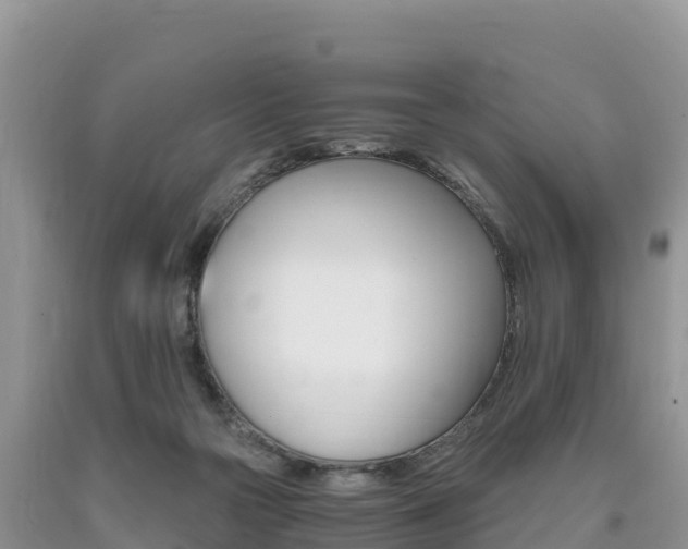 X0000090720169200707201021