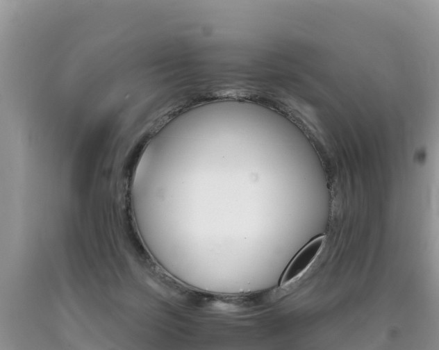 X0000090720171200707201021
