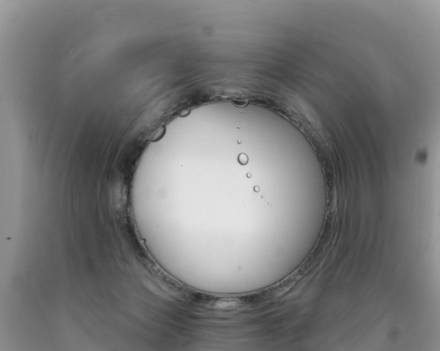 X0000090720173200707201021