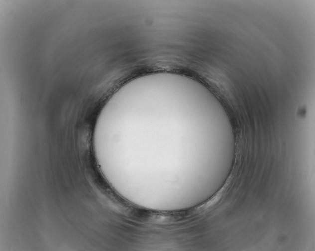 X0000090720174200707201021