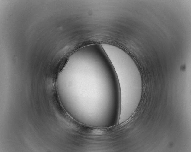 X0000090720176200707201021