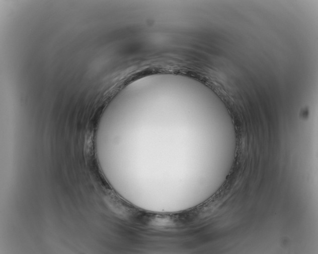 X0000090720177200707201021