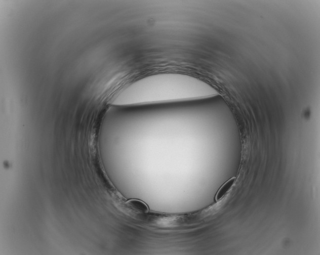 X0000090720178200707201021