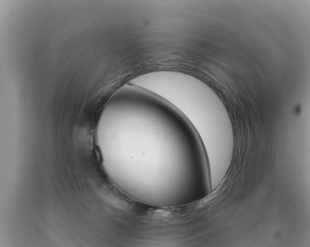 X0000090720180200707201021