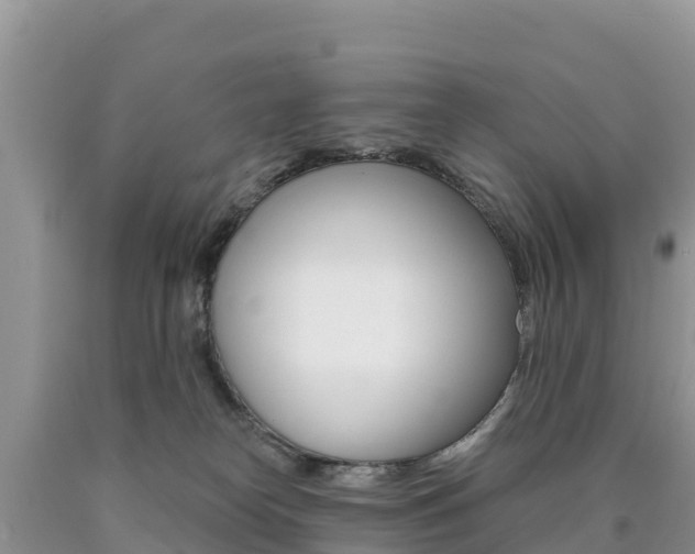 X0000090720182200707201021