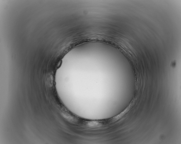 X0000090720183200707201021