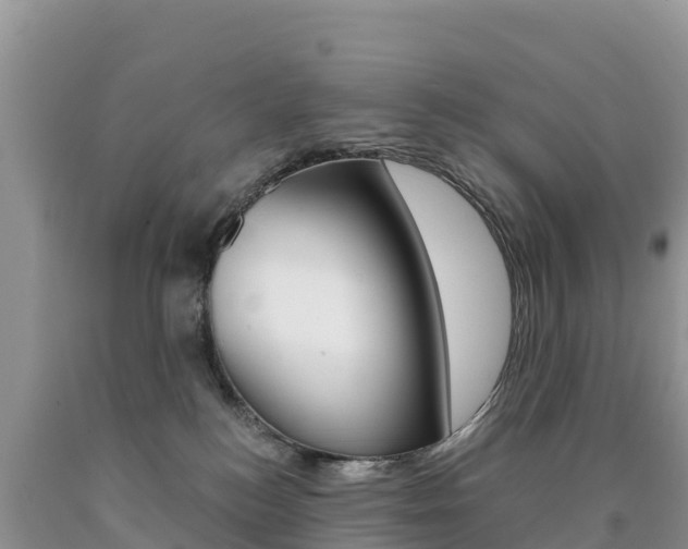 X0000090720184200707201022