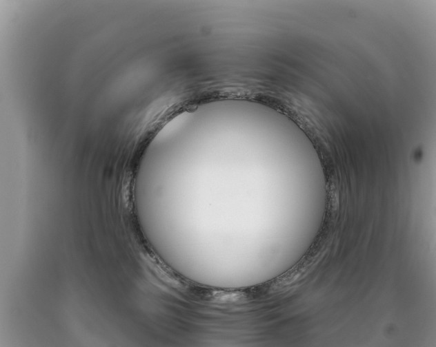X0000090720185200707201022