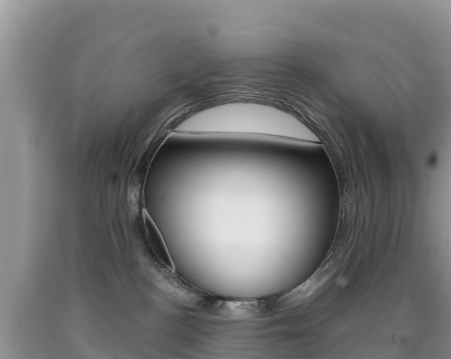 X0000090720188200707201022