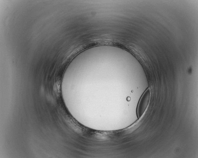 X0000090720190200707201022