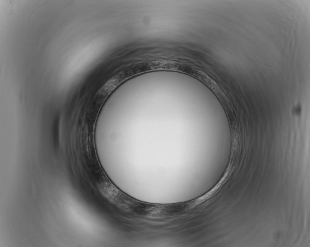 X0000090720191200707201022