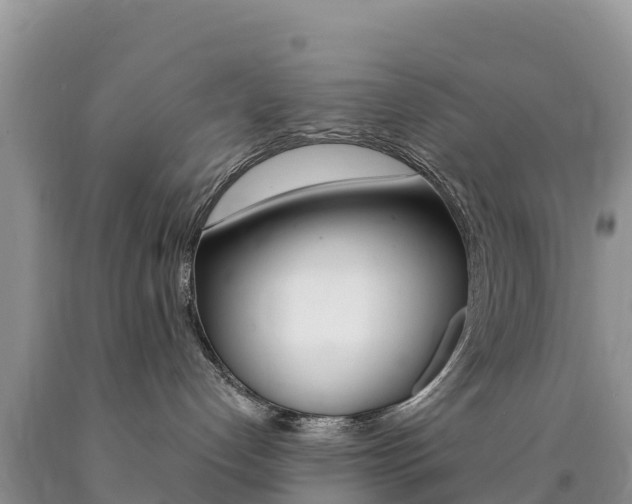 X0000090720192200707201022