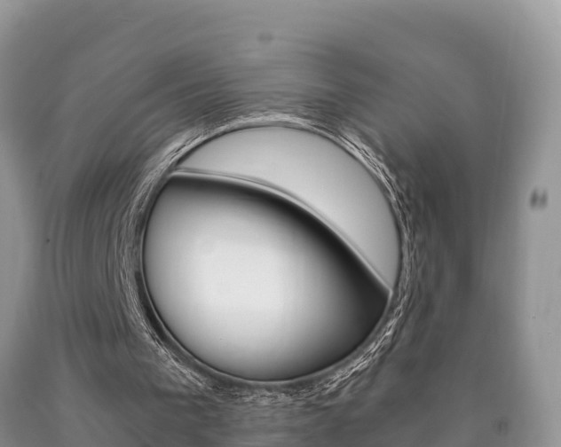 X0000090720193200707201021