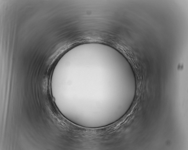 X0000090720194200707201021