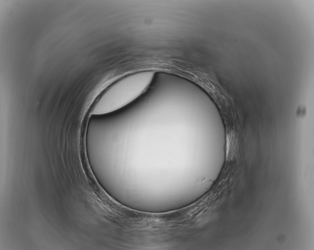 X0000090720195200707201021