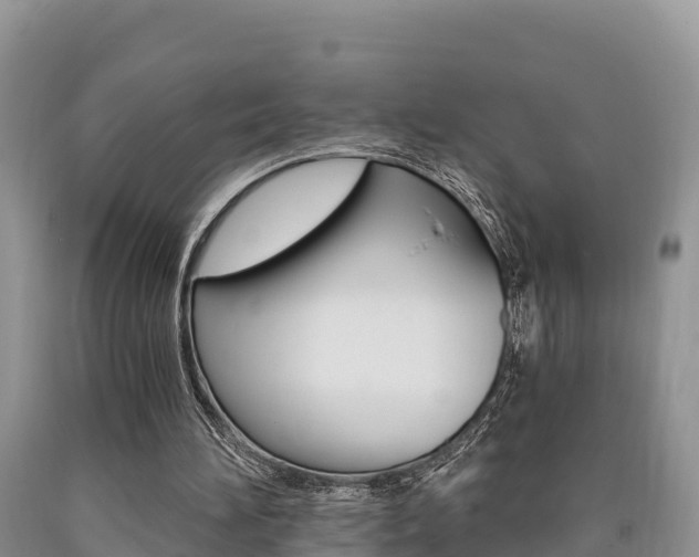 X0000090720196200707201021