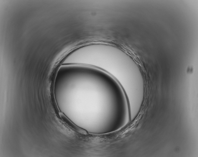 X0000090720197200707201021