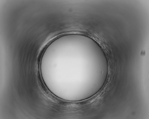 X0000090720198200707201021