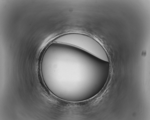 X0000090720199200707201021