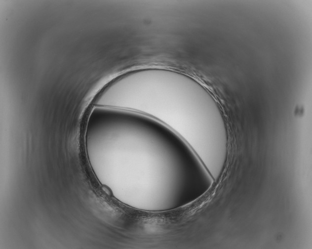 X0000090720200200707201021