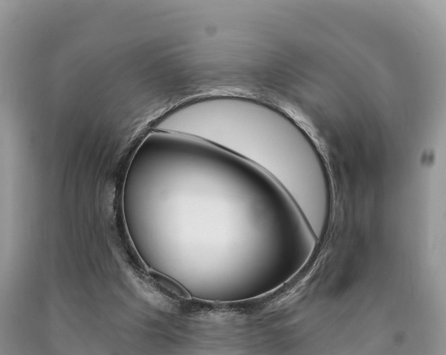 X0000090720201200707201021