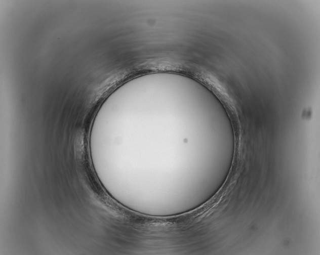 X0000090720202200707201021