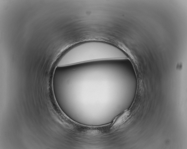 X0000090720203200707201021
