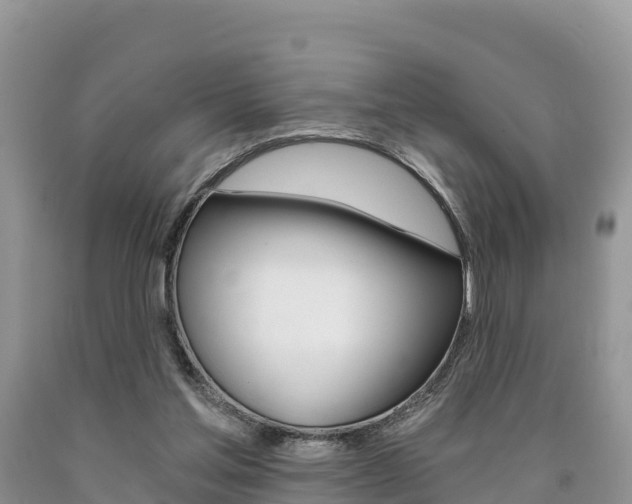 X0000090720205200707201021