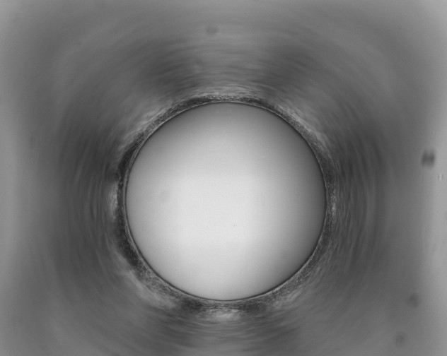 X0000090720206200707201021