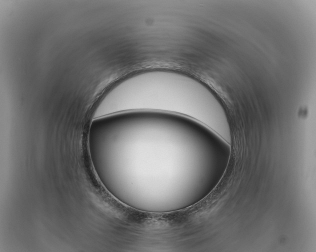 X0000090720207200707201021