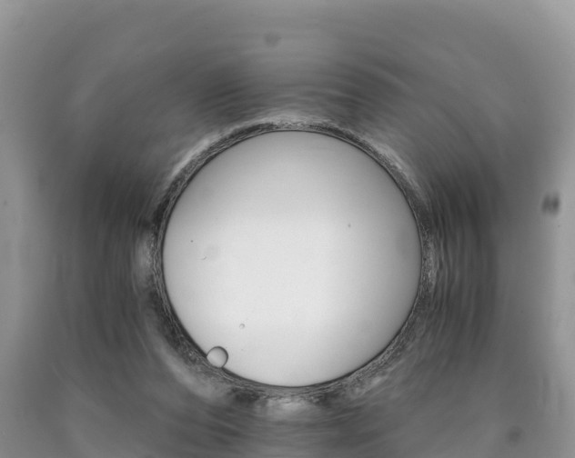 X0000090720208200707201021