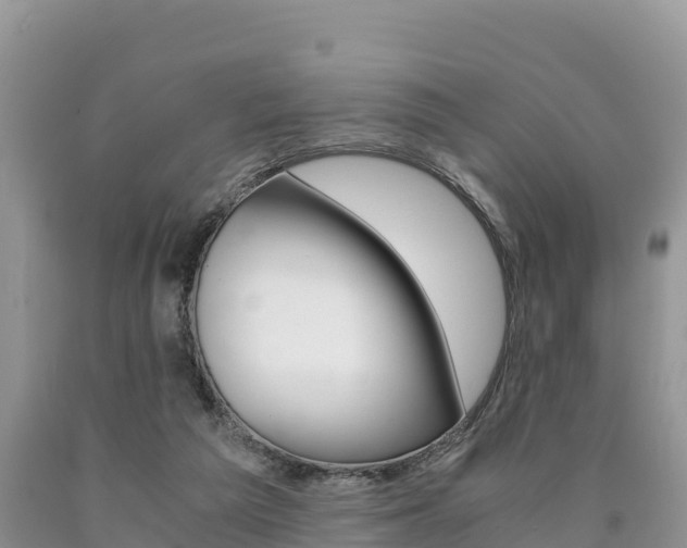 X0000090720209200707201021